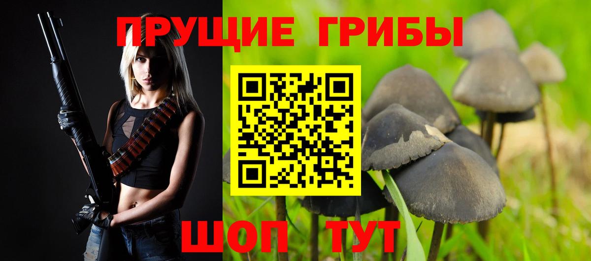 Псилоцибиновые грибы GOLDEN TEACHER  Галлюциногенные грибы Psilocybine cubensis  Вход с VPN  Белорецк 